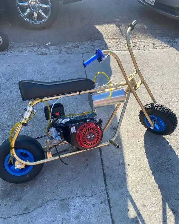 Candy Gold Minibike - Image 3