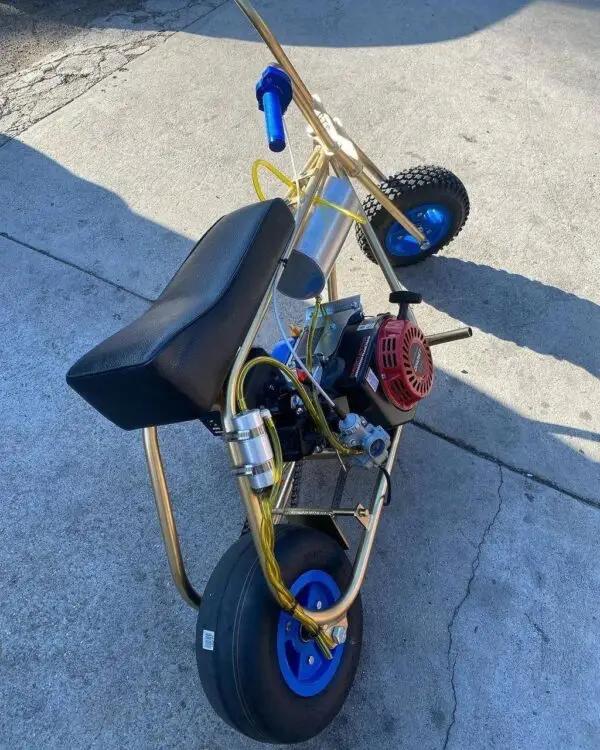 Candy Gold Minibike - Image 2